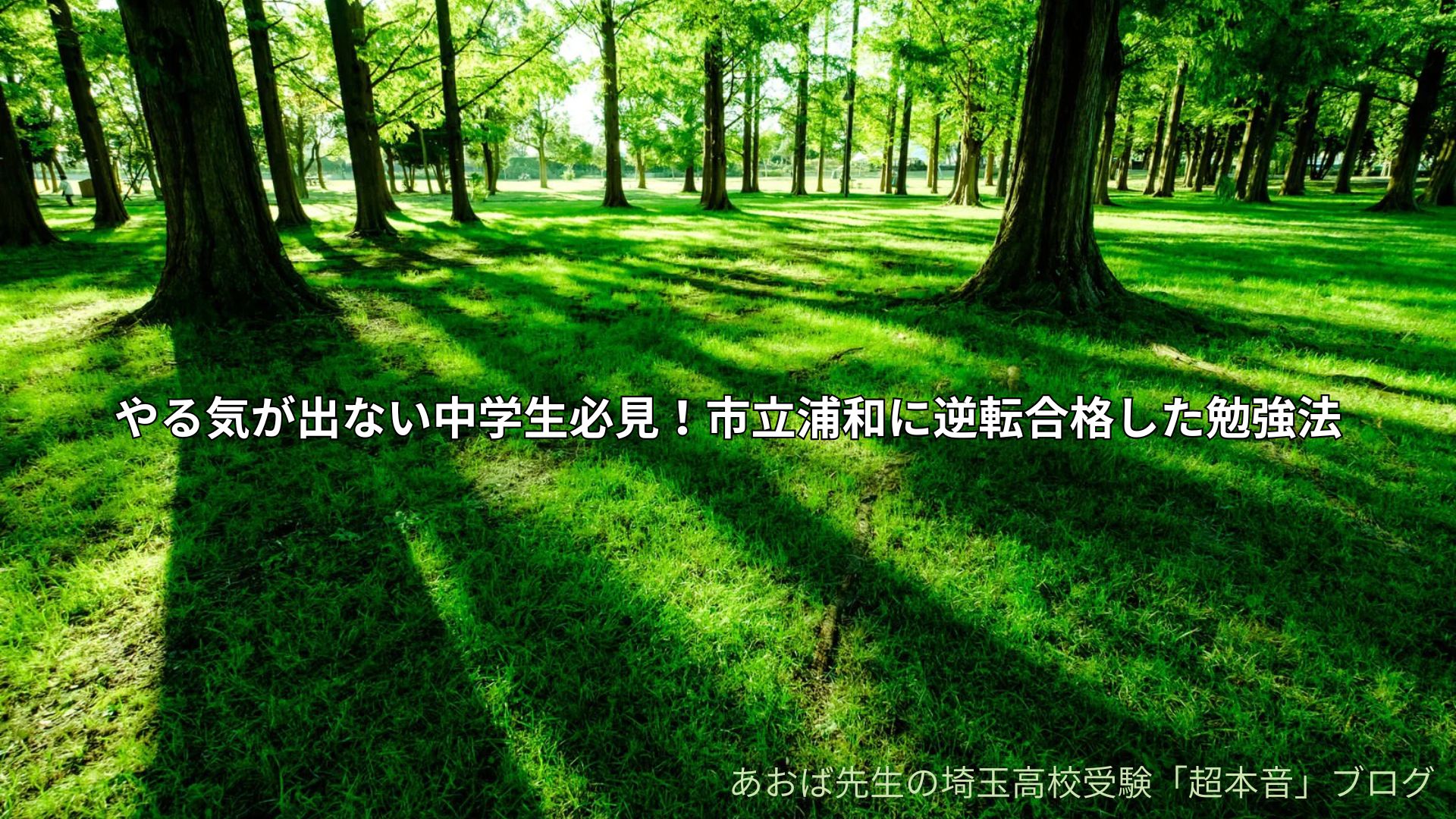 やる気が出ない中学生必見！市立浦和に逆転合格した勉強法