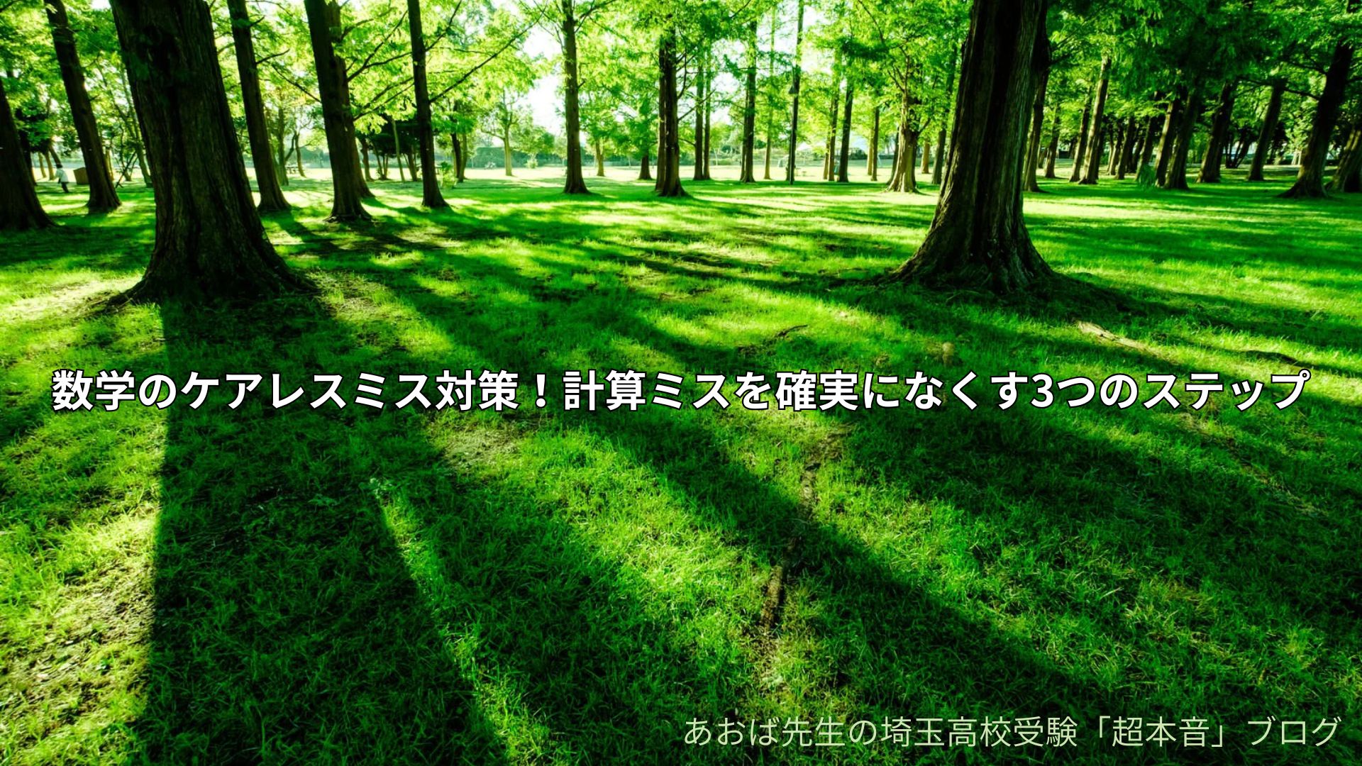 数学のケアレスミス対策！計算ミスを確実になくす3つのステップ